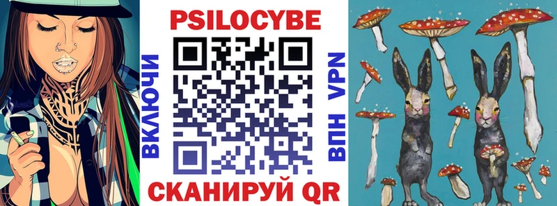 Галлюциногенные грибы Psilocybe  Ельня 